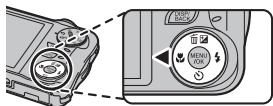 FUJIFILM FINEPIX T200 - Macro Mode (Close-ups) - 1