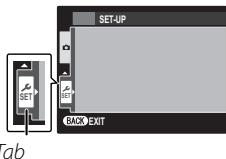 FUJIFILM FINEPIX T300 - Using the Setup Menu - 2