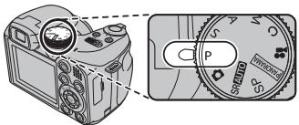 FUJIFILM FINEPIX S2900 - P:PROGRAM AE - 1