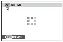 FUJIFILM FINEPIX S2900 - During Printing - 1