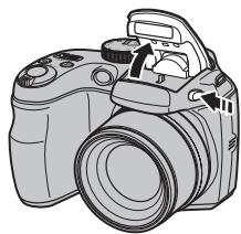 FUJIFILM FINEPIX S2900 - Turning the Flash Off - 1