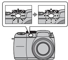 FUJIFILM FINEPIX S2900 - Start the timer. - 3