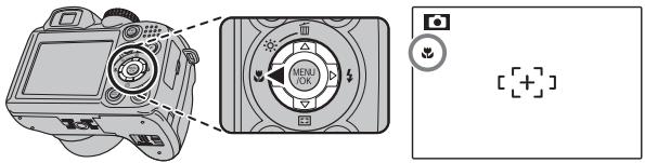 FUJIFILM FINEPIX S2900 - Notes - 1