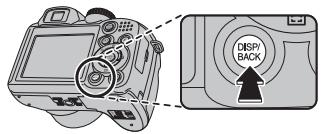 FUJIFILM FINEPIX S2900 - Choosing a Display Format - 1