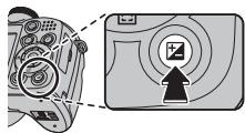 FUJIFILM FINEPIX S2900 - Viewing Photo Information - 1
