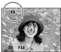 FUJIFILM FINEPIX F40FD - Flash - 1
