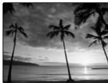 FUJIFILM FINEPIX F40FD - SUNSET - 1