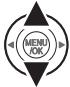 FUJIFILM FINEPIX F40FD - Recording voice memos - 3
