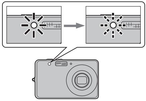 FUJIFILM FINEPIX J25 - Start the timer. - 3