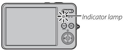FUJIFILM FINEPIX J25 - The Indicator Lamp - 1