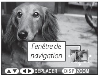 FUJIFILM FINEPIX REAL 3D V1 - Zoom lecture - 2