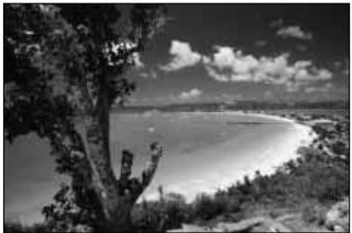 FUJIFILM FINEPIX S1 PRO - : Landscape mode - 1
