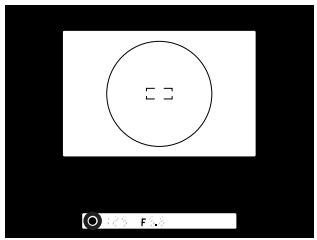FUJIFILM FINEPIX S1 PRO - Focus Aid - 3