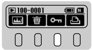 FUJIFILM FINEPIX S1 PRO - Protecting and Unprotecting Individual Image - 3