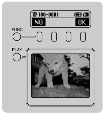 FUJIFILM FINEPIX S1 PRO - When you press function button [2], the image is displayed on the rear display panel for erase confirmation. - 2