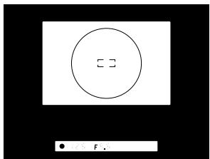 FUJIFILM FINEPIX S1 PRO - Press the shutter button halfway and check the viewfinder display. - 2