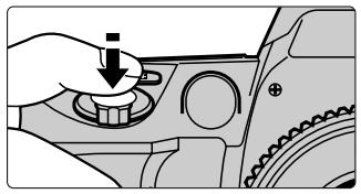 FUJIFILM FINEPIX S1 PRO - Press the shutter button halfway and check the viewfinder display. - 1