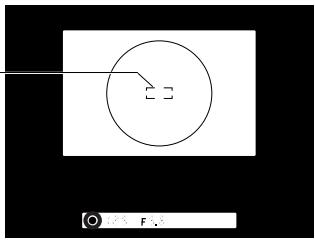FUJIFILM FINEPIX S1 PRO - Focusing frame - 1