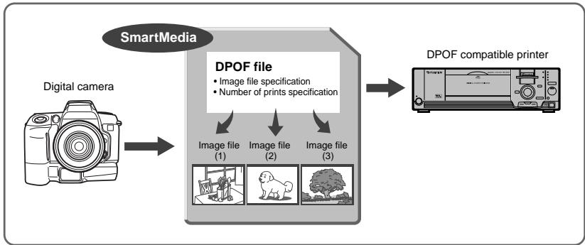 FUJIFILM FINEPIX S1 PRO - DPOF - 1