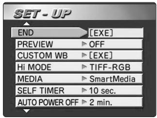 FUJIFILM FINEPIX S1 PRO - Notes on the Batteries - 1