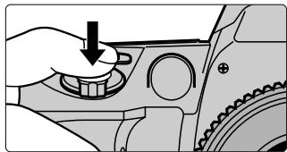 FUJIFILM FINEPIX S1 PRO - Check that the focus indicator “●” is lit and then gently press the shutter button fully. - 2