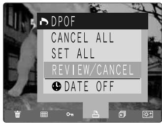 FUJIFILM FINEPIX S1 PRO - Setting DPOF Settings for All the Images (SET ALL) - 3