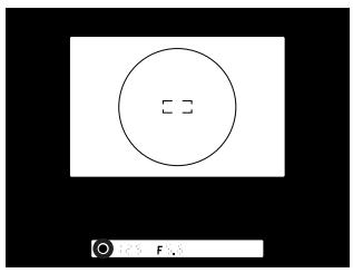 FUJIFILM FINEPIX S1 PRO - Focus Aid - 1