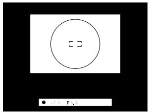 FUJIFILM FINEPIX S1 PRO - Center-weighted Metering - 2