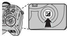 FUJIFILM FINEPIX S2800HD - Viewing Photo Information - 1