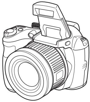 FUJIFILM FINEPIX S3300 - Owner's Manual - 1