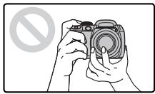 FUJIFILM FINEPIX S3300 - Holding the Camera - 2