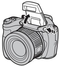 FUJIFILM FINEPIX S3300 - Turning the Flash Off - 1