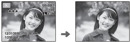 FUJIFILM FINEPIX S4000A - Choosing a Display Format - 2