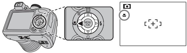 FUJIFILM FINEPIX S4000A - Macro and Super Macro Modes (Close-ups) - 1