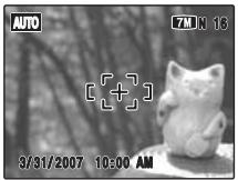 FUJIFILM FINEPIX S5800 - Taking pictures with the focus and exposure locked - 1