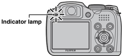 FUJIFILM FINEPIX S800 - Indicator lamp display - 1