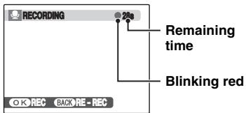 FUJIFILM FINEPIX S800 - Recording voice memos - 7