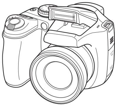 FUJIFILM FINEPIX S800 - 1