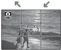 FUJIFILM FINEPIX Z30 - The Framing Grid - 3