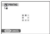 FUJIFILM FINEPIX Z30 - During Printing - 1