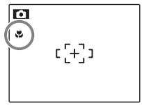 FUJIFILM FINEPIX Z80 - Choosing an Exposure Compensation Value - 4