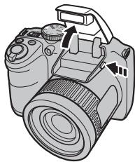 FUJIFILM FINEPIX L55 - Déactivation du flash - 1
