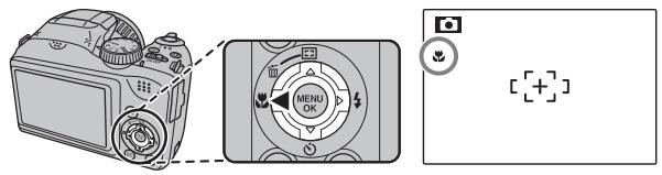 FUJIFILM FINEPIX L55 - Modes macro et super macro (gross plans) - 1