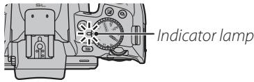 FUJIFILM FINEPIX S - The Indicator Lamp - 1