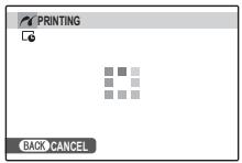 FUJIFILM FINEPIX S - During Printing - 1