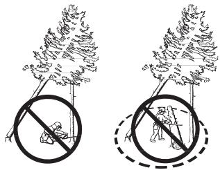 HUSQVARNA 440 E - Freeing a "trapped tree" - 1