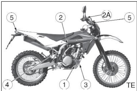 HUSQVARNA TE 450 - CHASSIS - 2