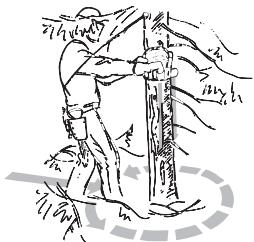HUSQVARNA 3120 XP - Clearing the trunk and preparing your retreat - 1