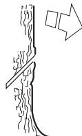 HUSQVARNA 338 XPT - Directional cuts - 2