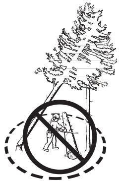 HUSQVARNA 340 - Récupération d'un arbre accroché - 2